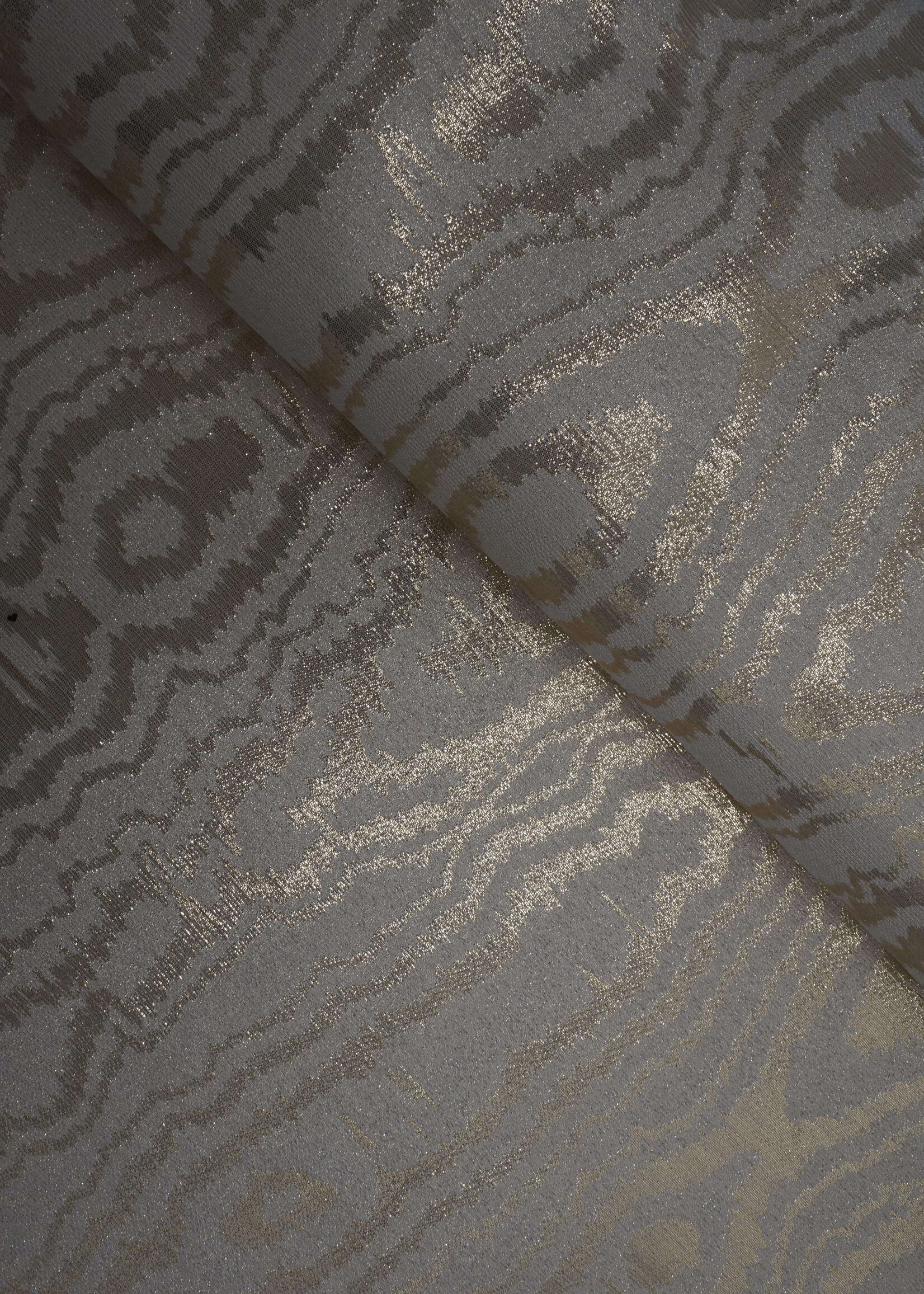 zebra goud