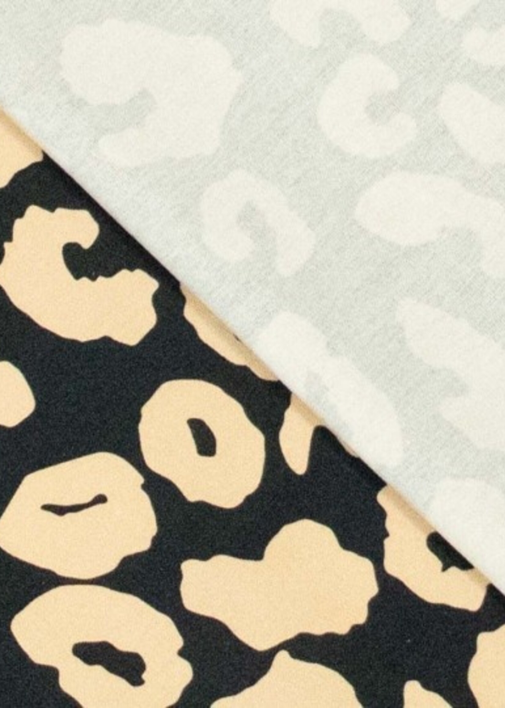 canvas leopard