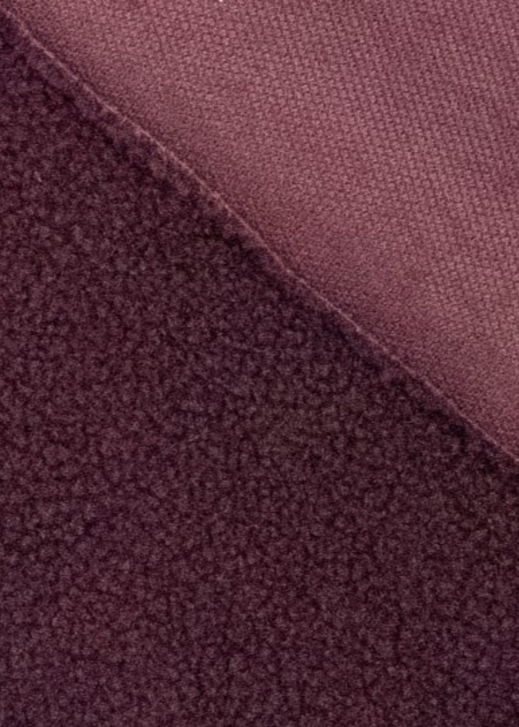 Teddy italian plum