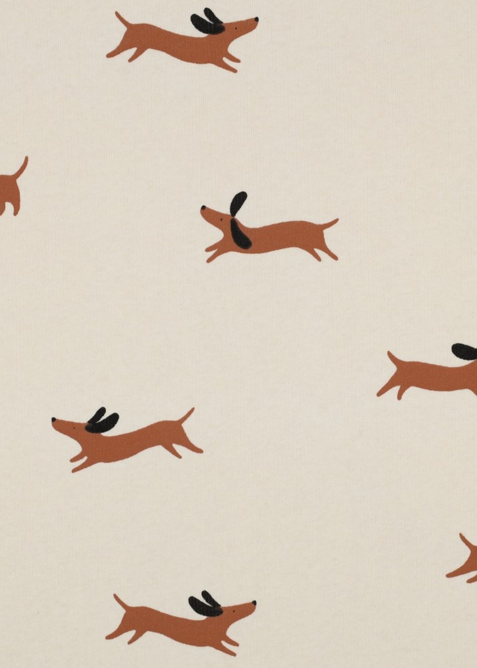 Jogging dogs