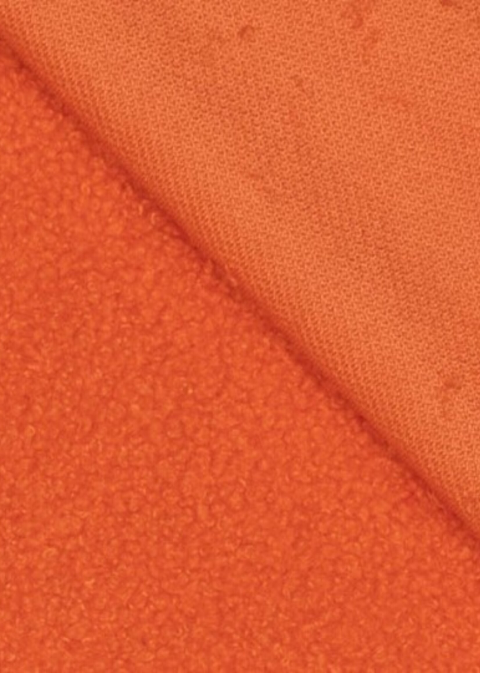 Teddy oranje
