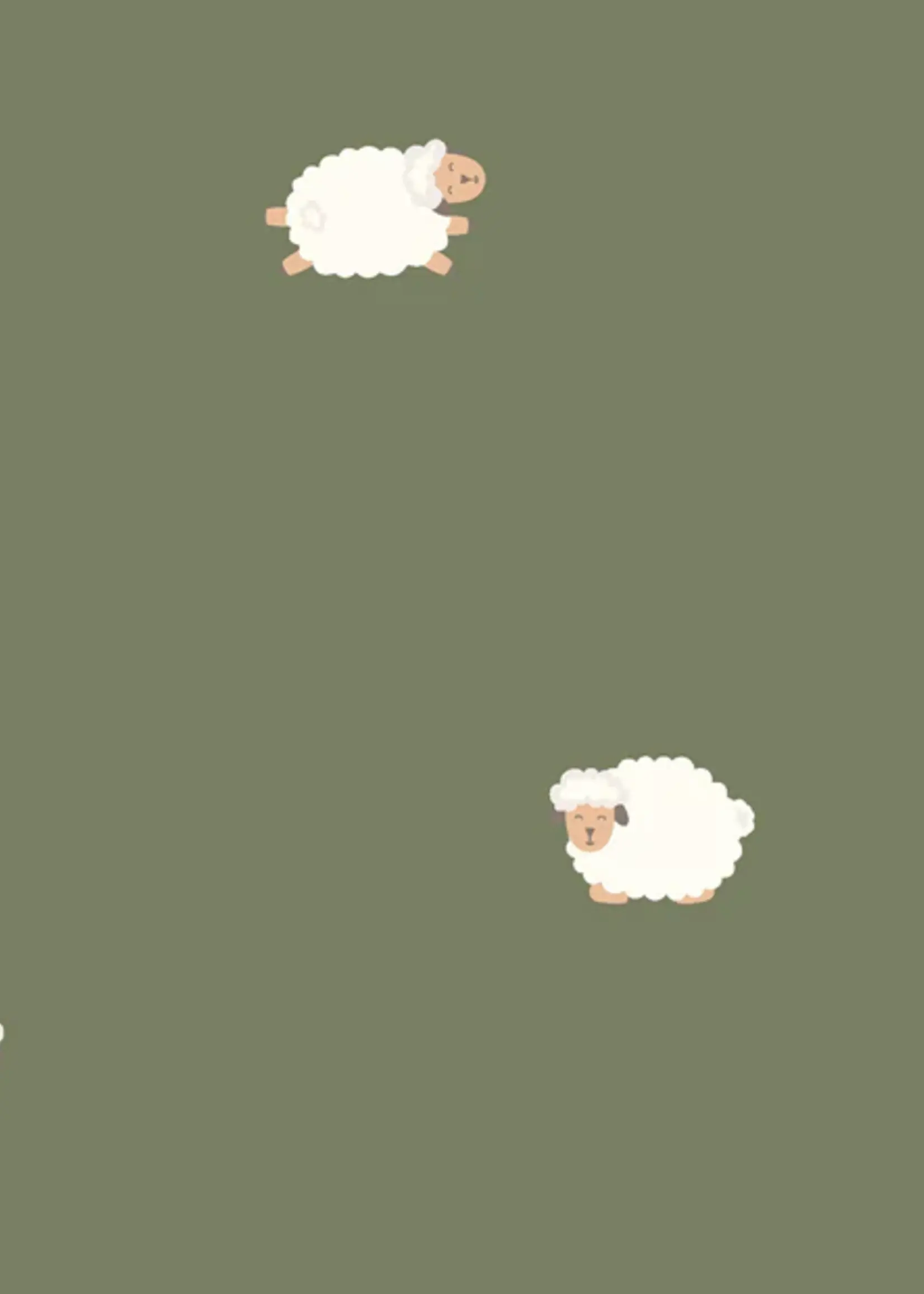 schaap