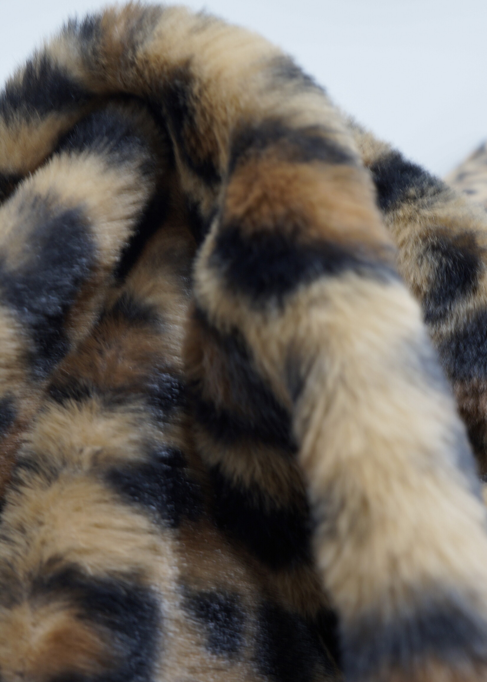 A La Ville teddy leopard