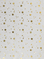 * Stof Organza - Stars - White