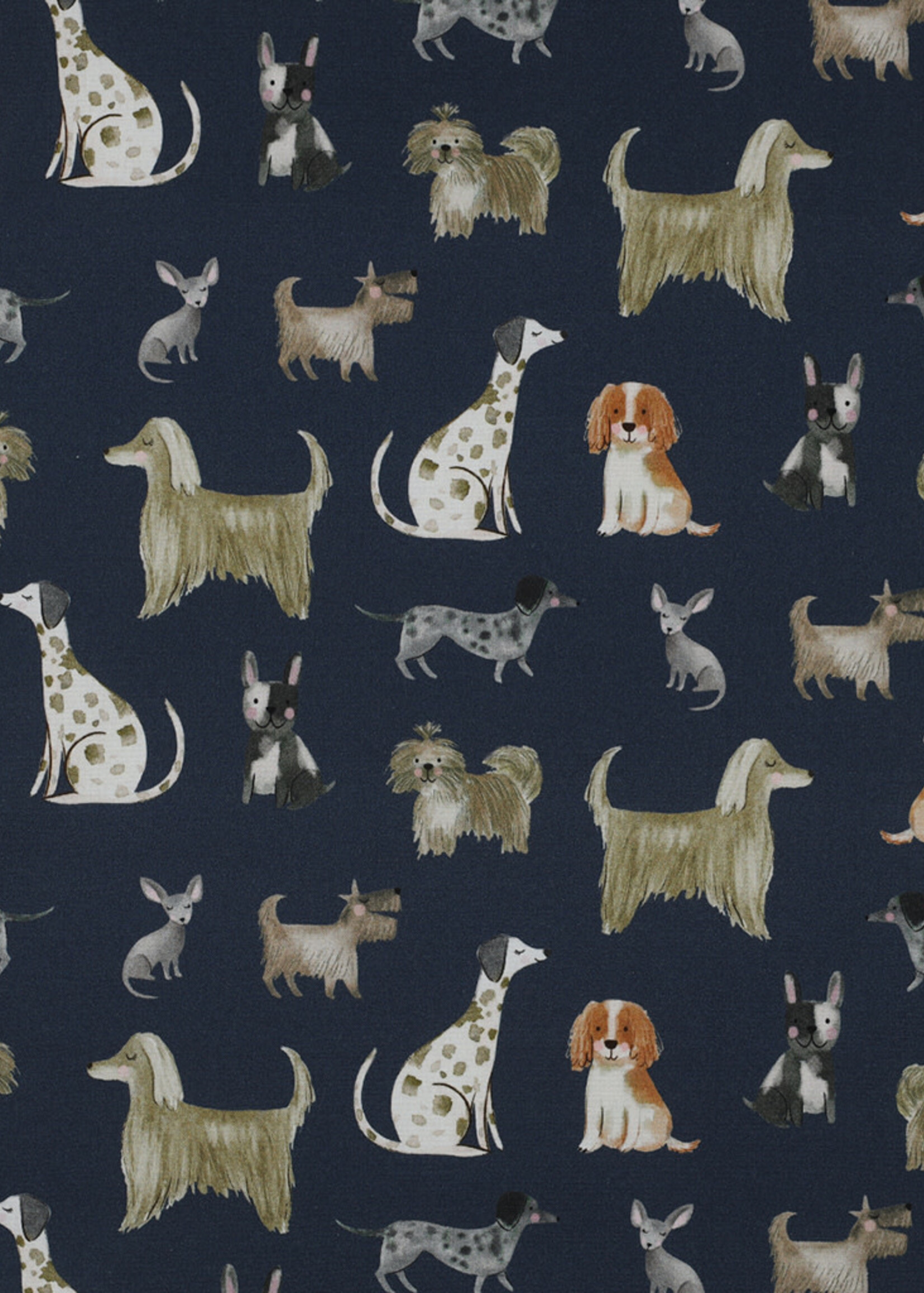 * Stof Katoen - Dogs