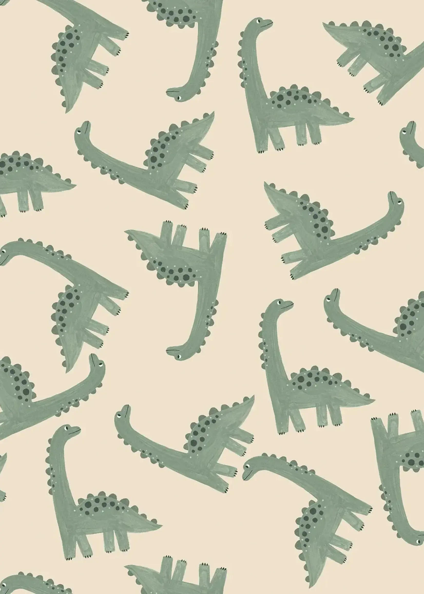 ° (Jassen) Stof Waterdicht - Raincoat - Dino