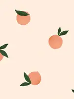 * (Jassen) Stof Waterdicht - Raincoat - Oranges