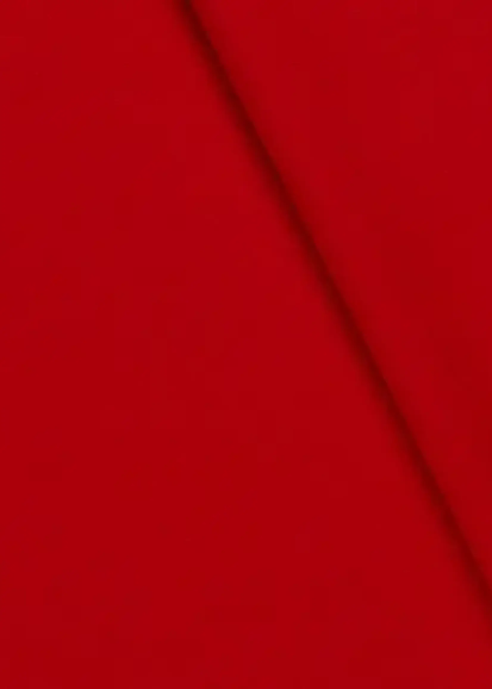 * Stof Mantel Wool Touch - Duffelcoat - Rood