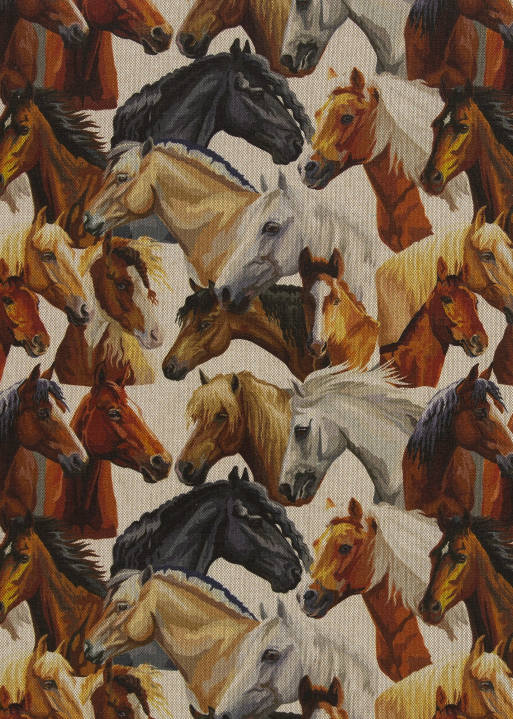 ° Stof Canvas - Horses