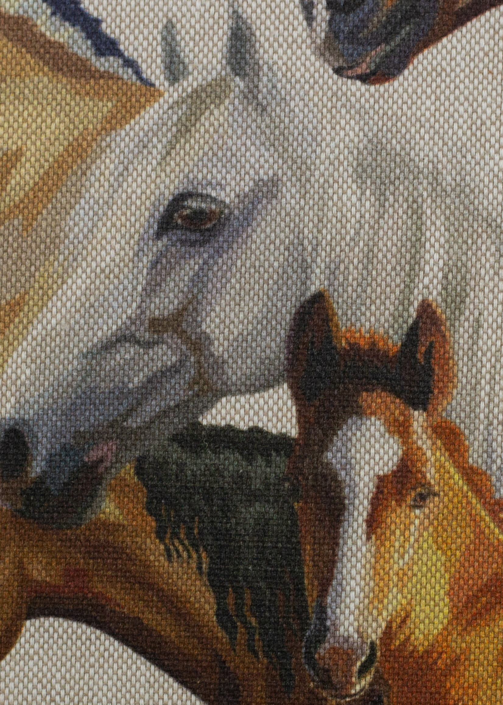 ° Stof Canvas - Horses