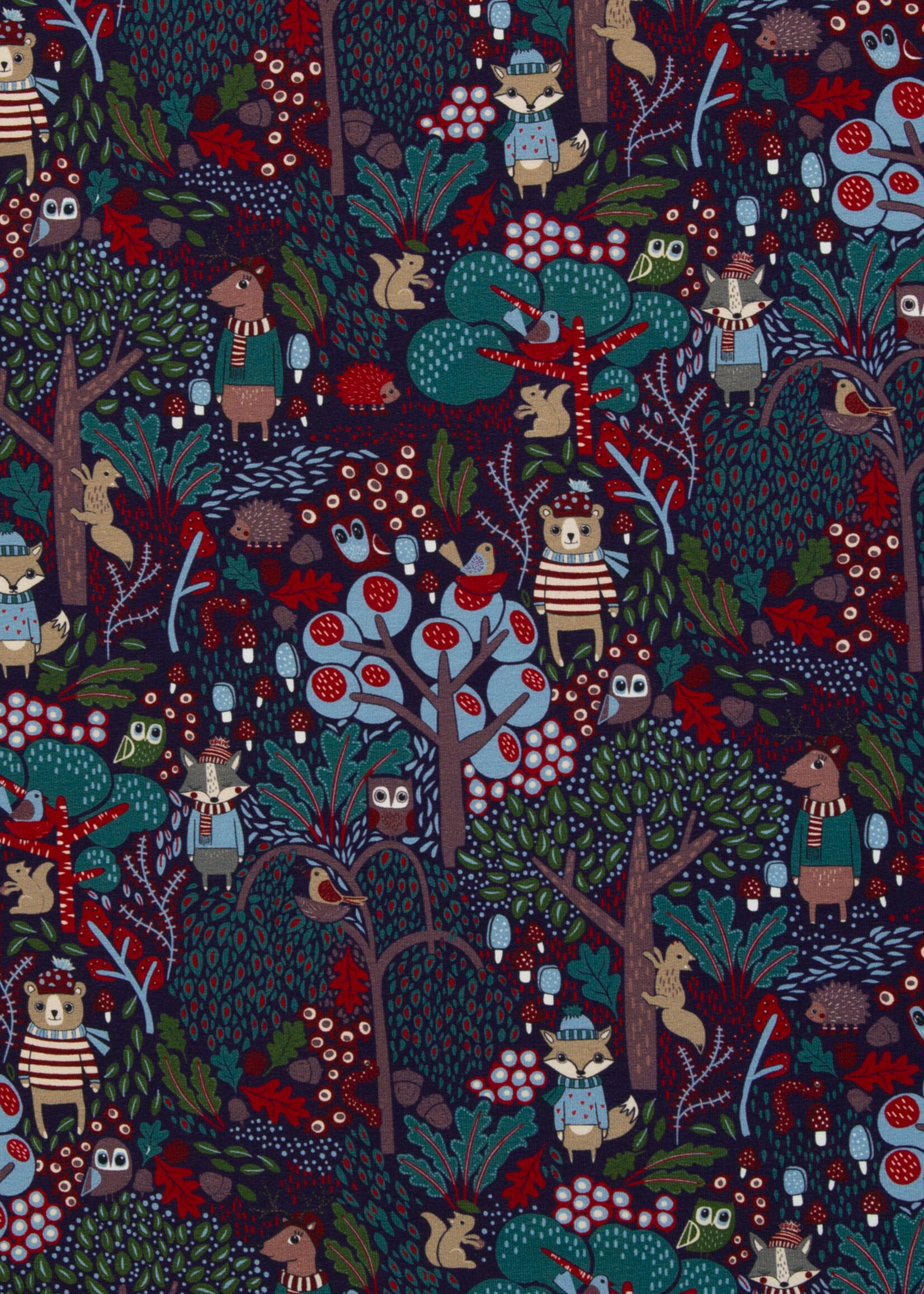 ° Stof French Terry - Bienvenido Colorido - In The Woods