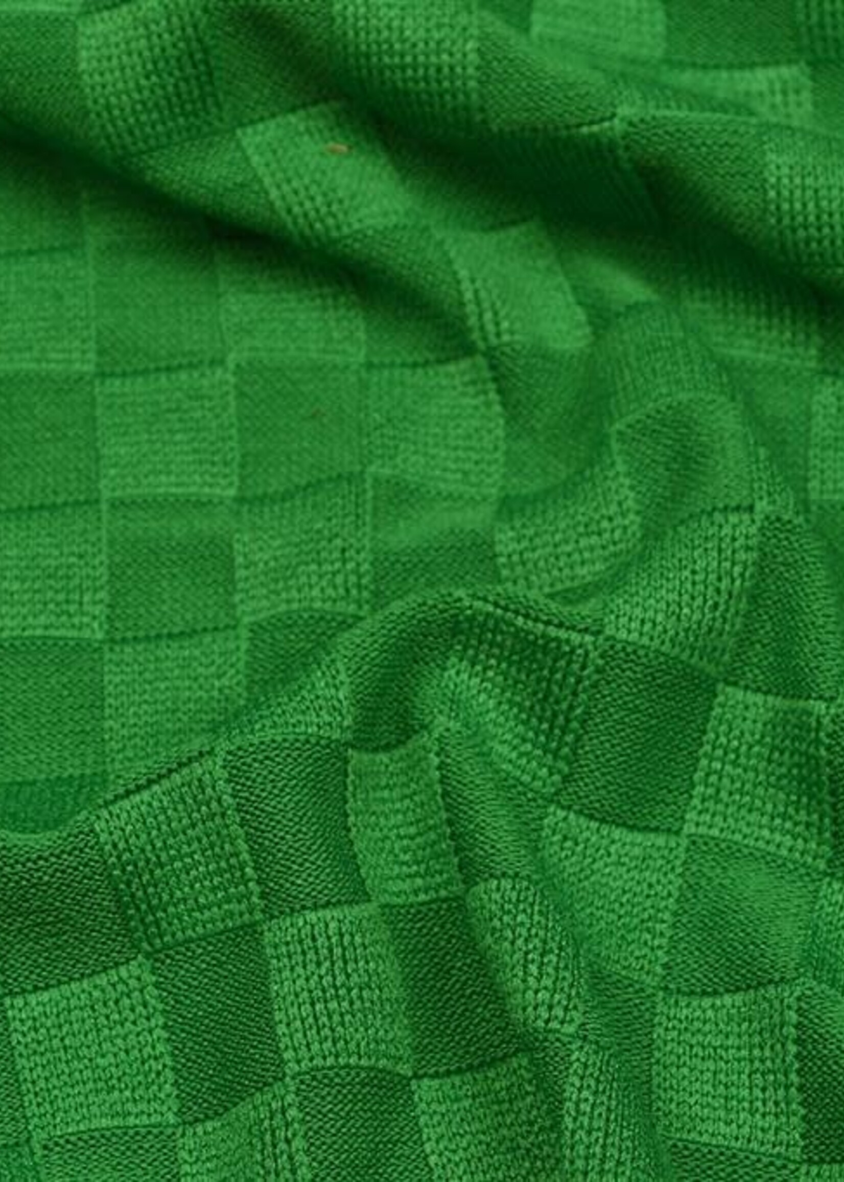 Editex ° Stof Breisel - Editex - Checks Groen