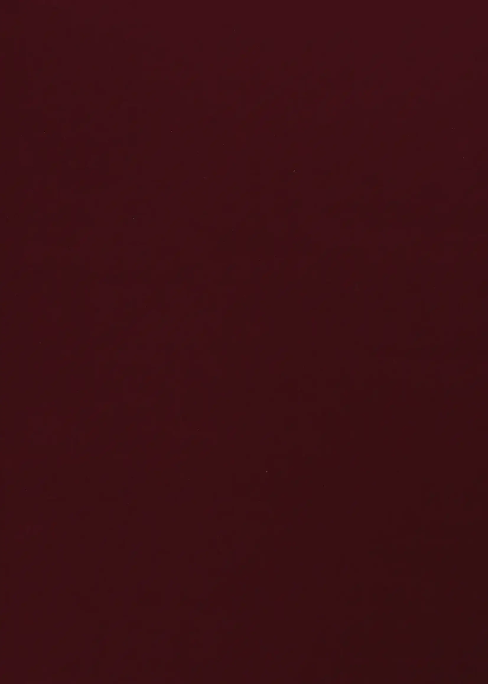 ° Stof Jogging Sweater - Effen Bordeaux