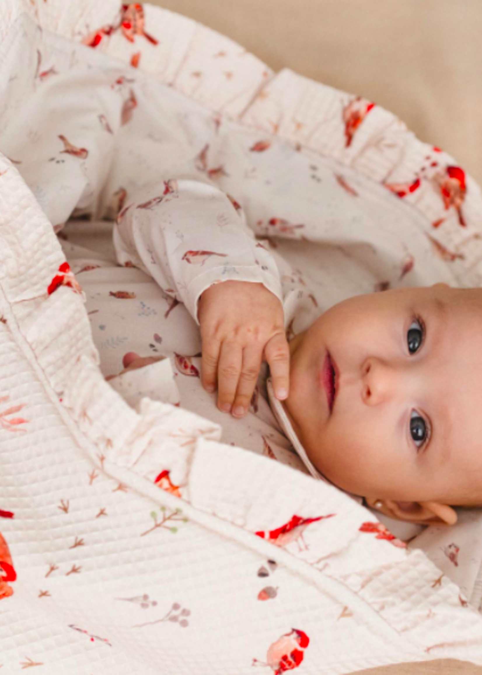 Katia ° Stof Wafelkatoen - KATIA Fabrics - Baby Birds