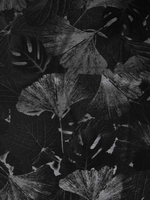 Katia ° Stof Peachskin - Leaves - Zwart