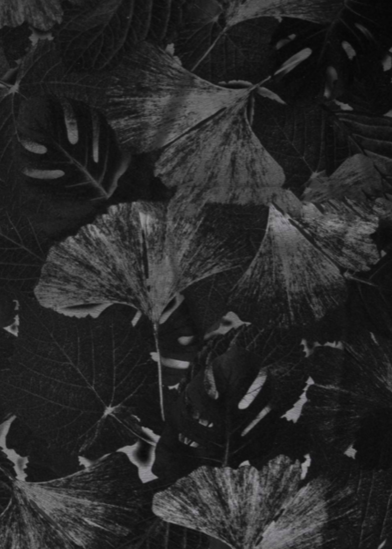 Katia ° Stof Peachskin - Leaves - Zwart