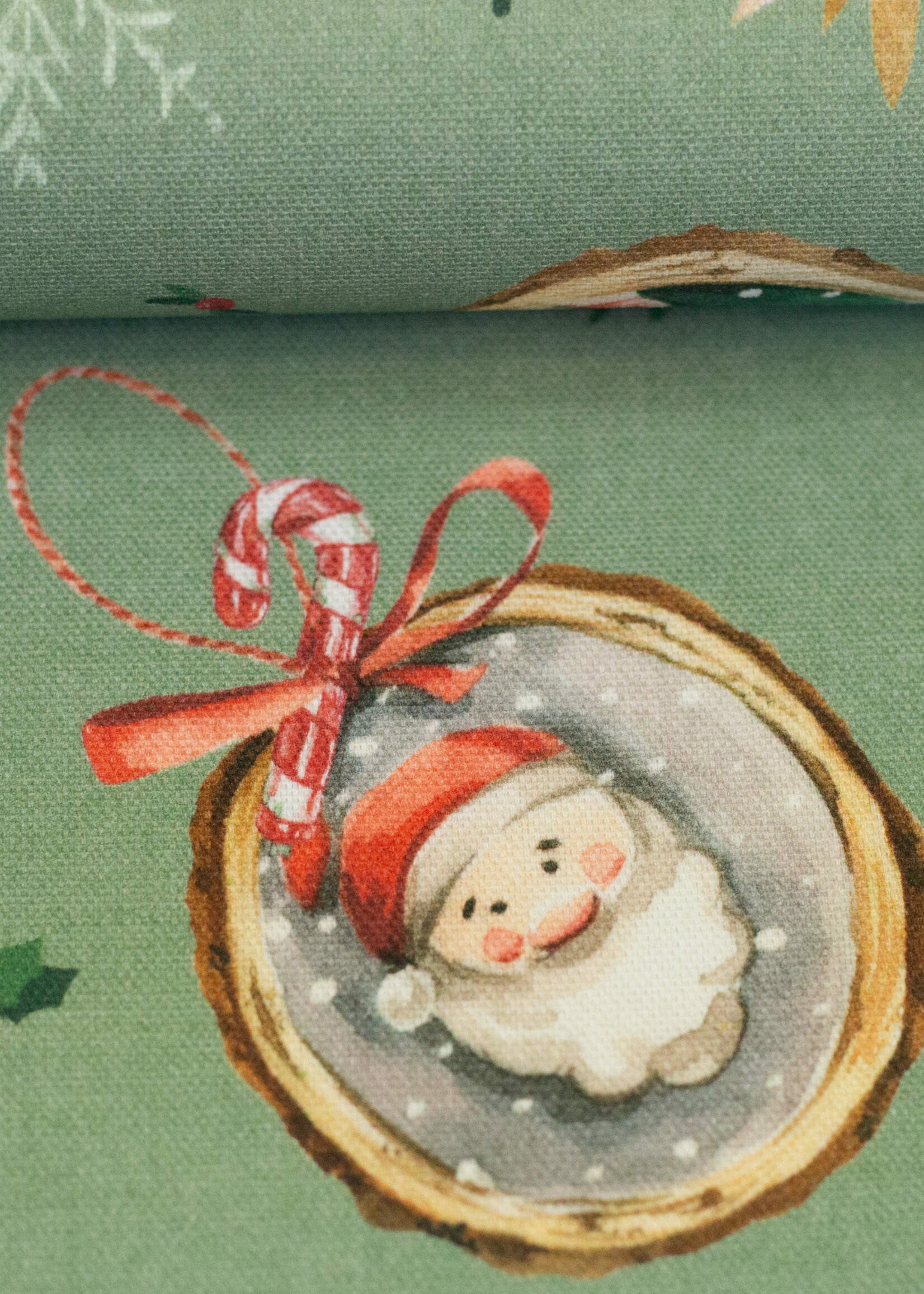 ° Stof Canvas - Christmas - Santa Portrait