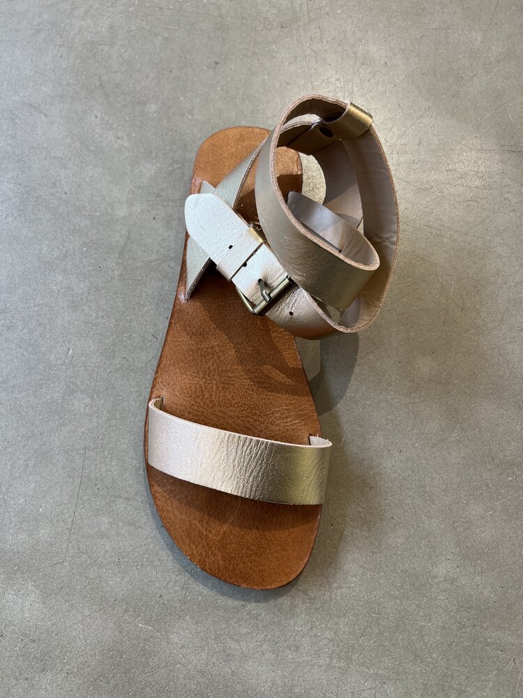 Oli.N Oli Warrior Golden