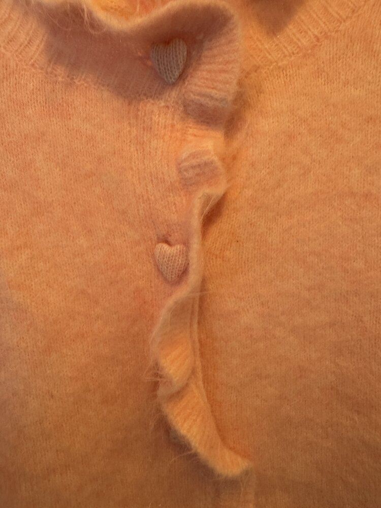 Just be Jolie Jasmijn Vest Heart Button Rose