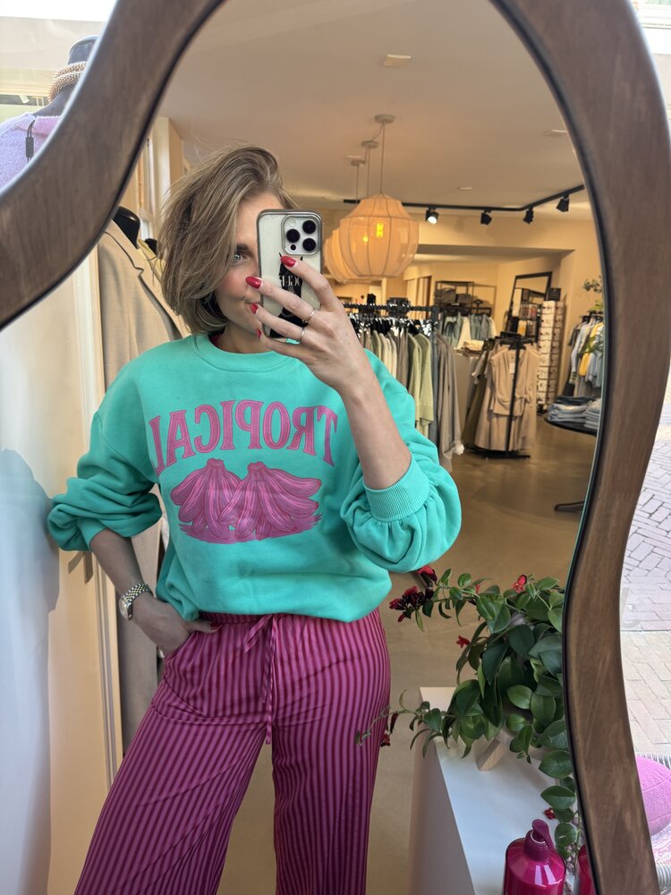 Ydence Sweater Tropical Sea Green