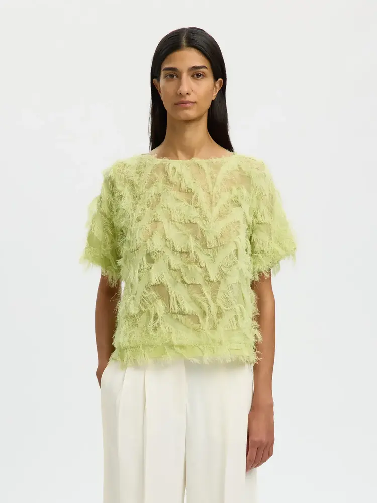 Selected Femme Myline SS Boat Neck top B Lint