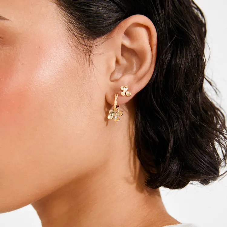 Pilgrim AJANI Earrings 2-in-1 Set, Gold-Plated