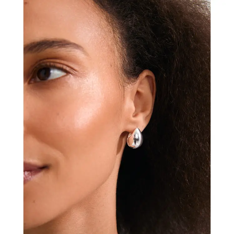 Pilgrim KAISYN Earrings Silver-Plated