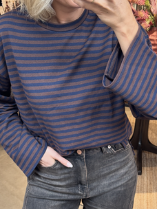 Just be Jolie Marlowe Stripe Tee Blue/Brown