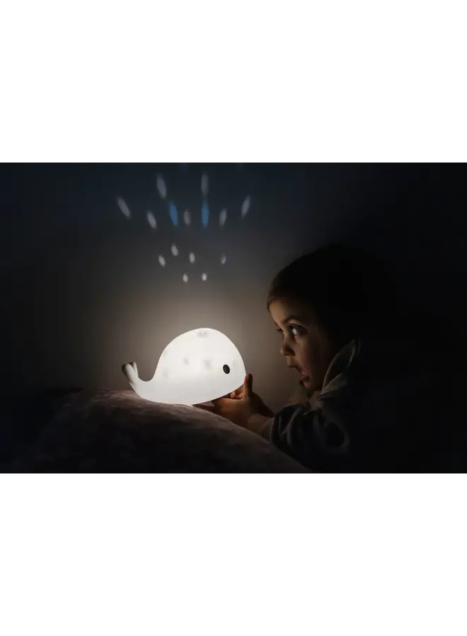 Flow | Moby Projector - Stormy Green