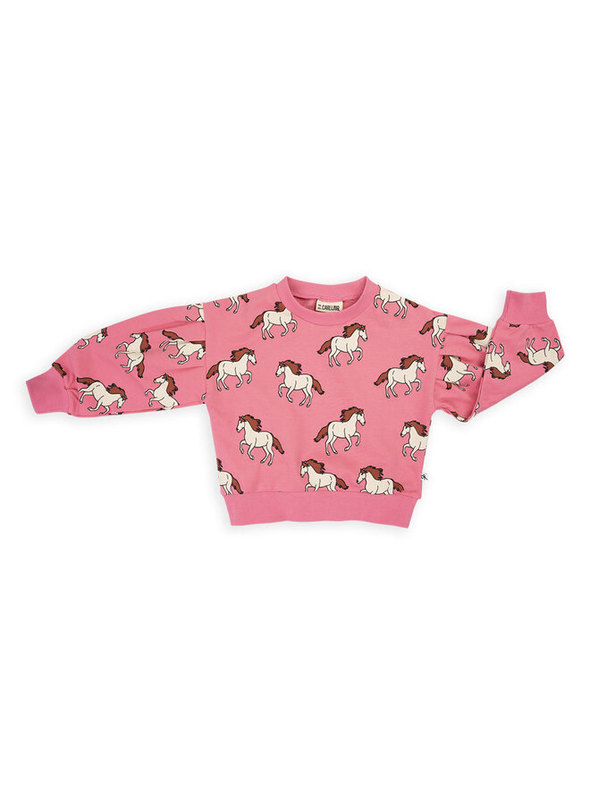 CarlijnQ Wild horse - girls sweater