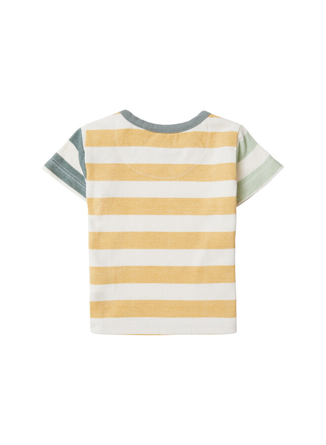 Boys Tee Balsam Lake short sleeve stripe