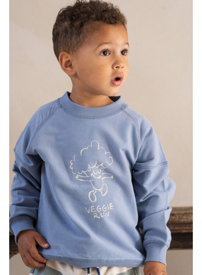 Relaxed Raglan Sweater – Stone Blue