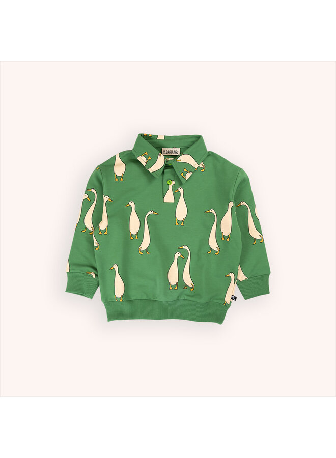 Ducks - polo sweater