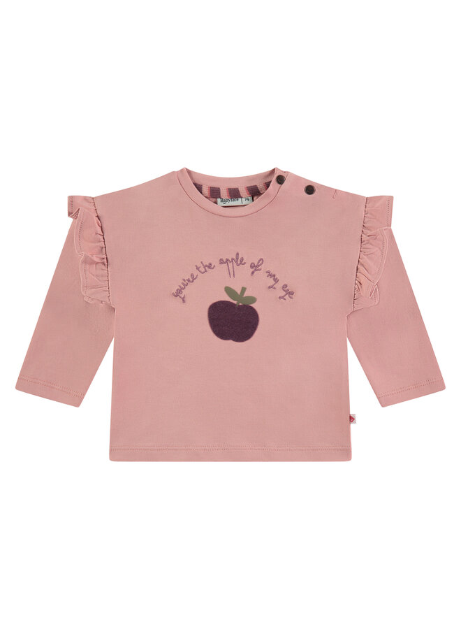 girls t-shirt longsleeve.,00 – powder