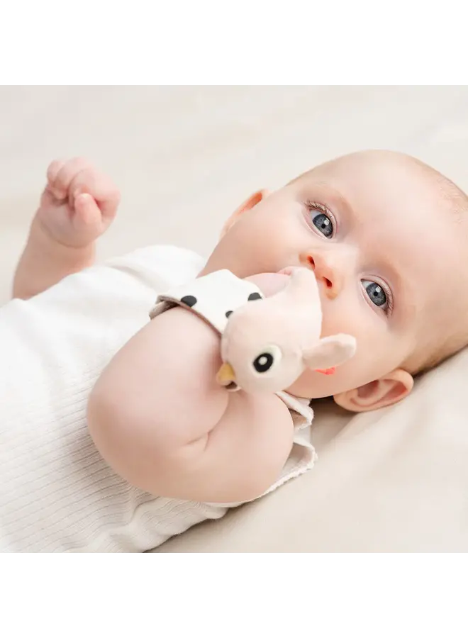 Wrist rattle set 2-pack Happy clouds - roze