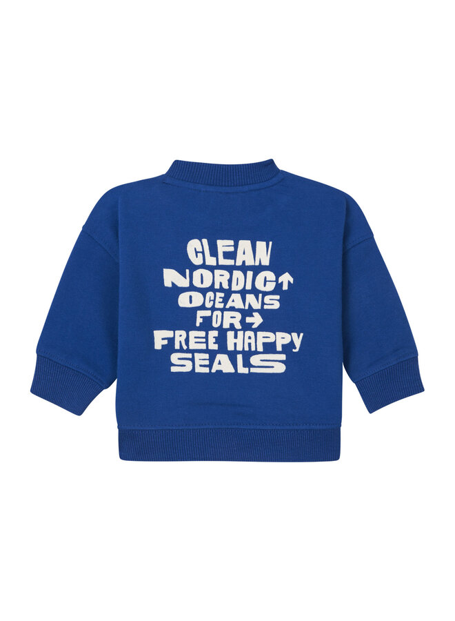 Boys Sweater Gava long sleeve