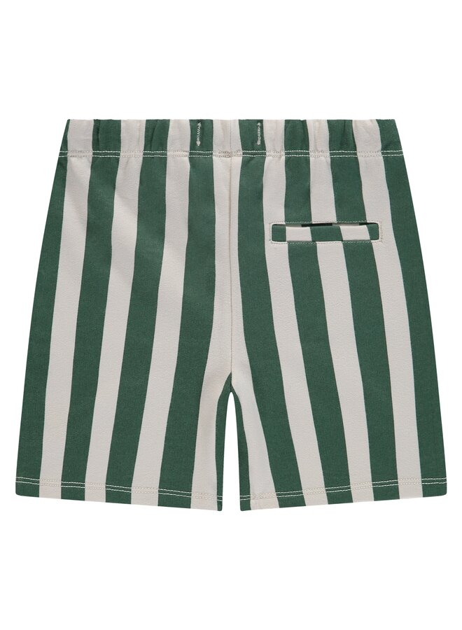 235. boys sweat short