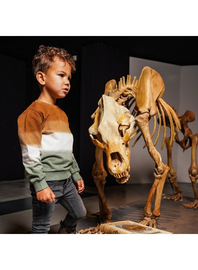 Sweater with crewneck - O56889-37