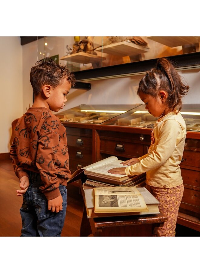 Sweater dropped shoulder - O56879-37