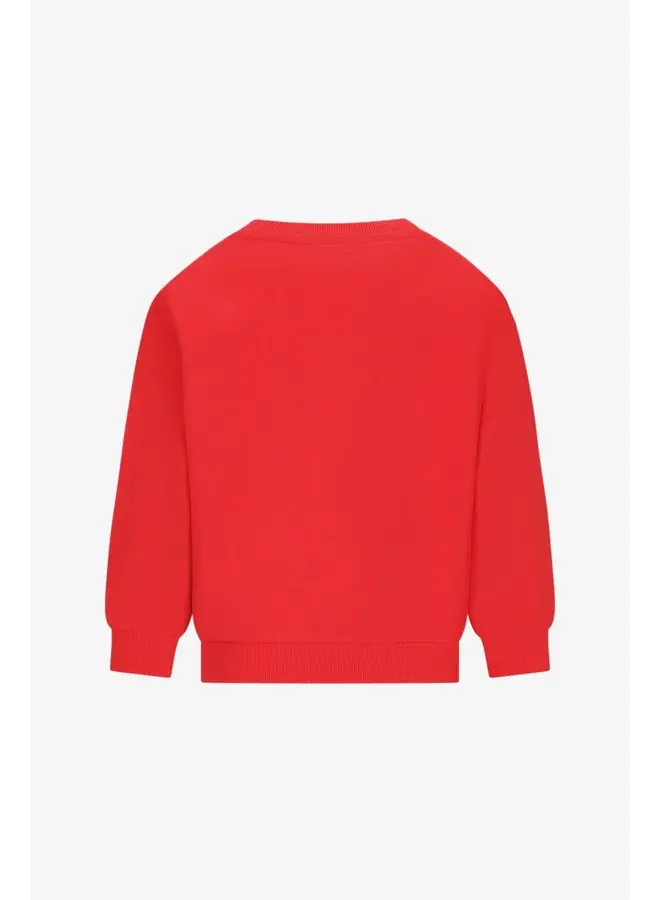 Bille The New Chapter sweater – Bittersweet