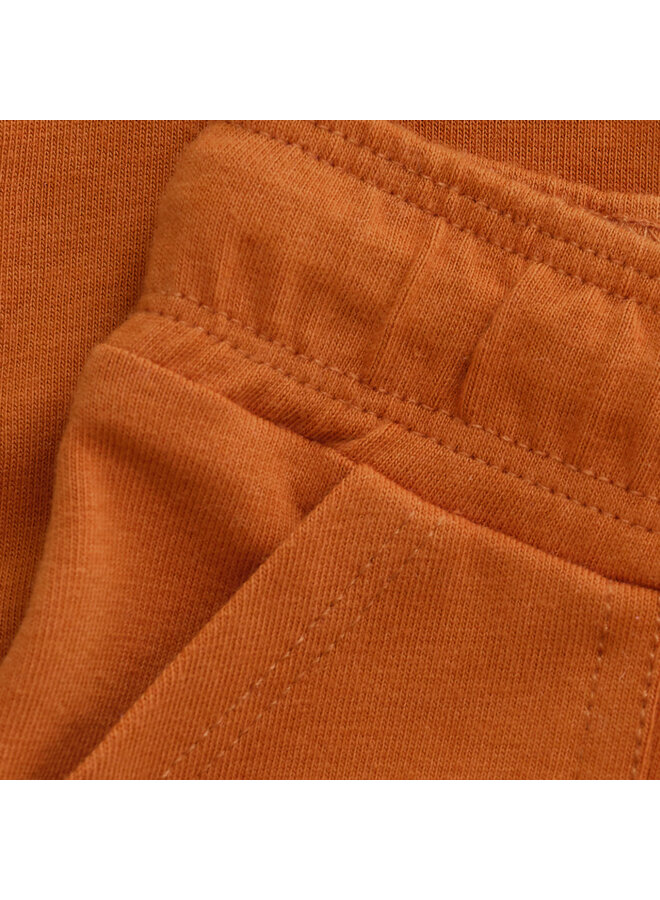 Boys Pants Summit regular fit