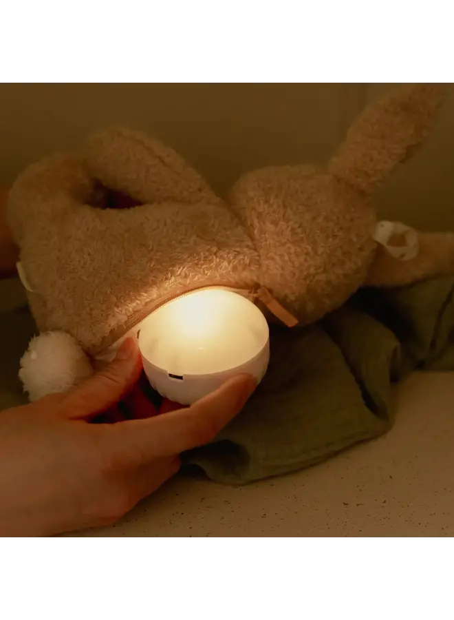 Litte Dutch | Baby Bunny - Licht & Geluid GRS