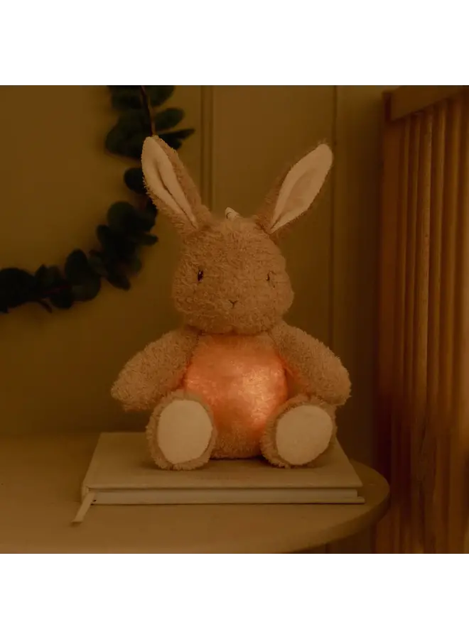 Litte Dutch | Baby Bunny - Licht & Geluid GRS