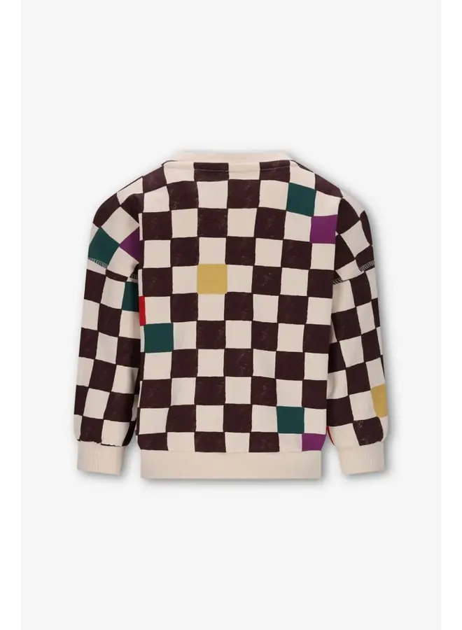 Bobbie The New Chapter sweater – Checker