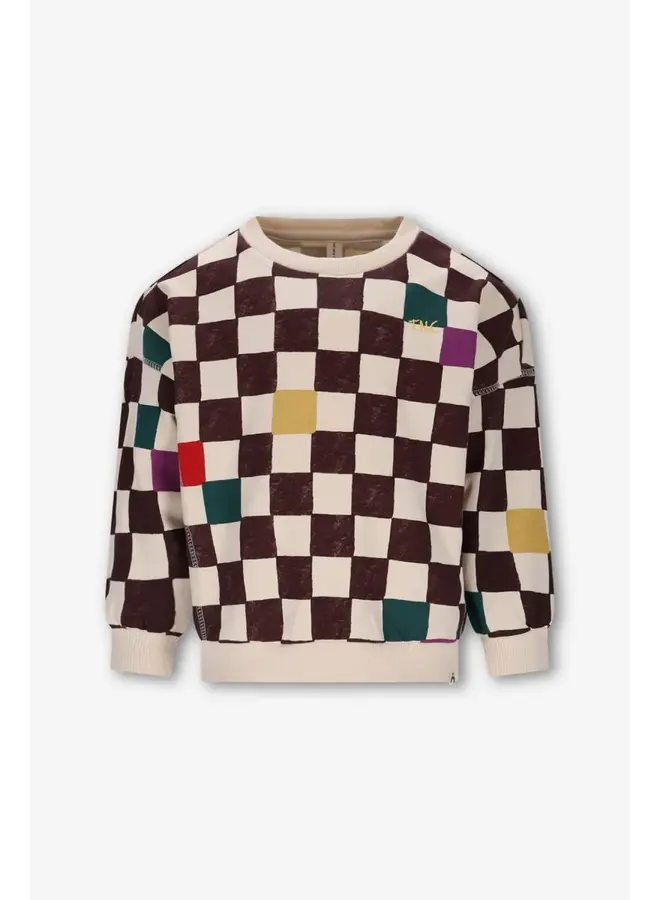 Bobbie The New Chapter sweater – Checker