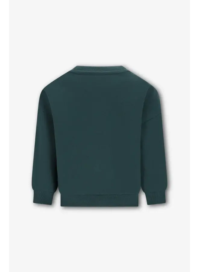 Bille The New Chapter sweater – Jasper Green