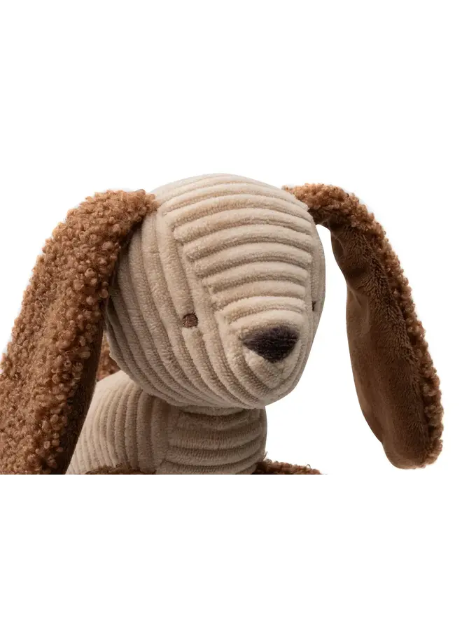 Jollein | Wagenhanger - Dog Diego
