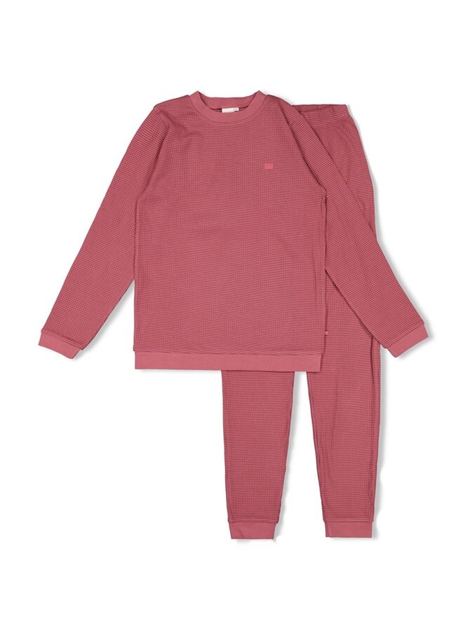 Feetje Pyjama Volwassenen | wafel  Family Edition - Berry