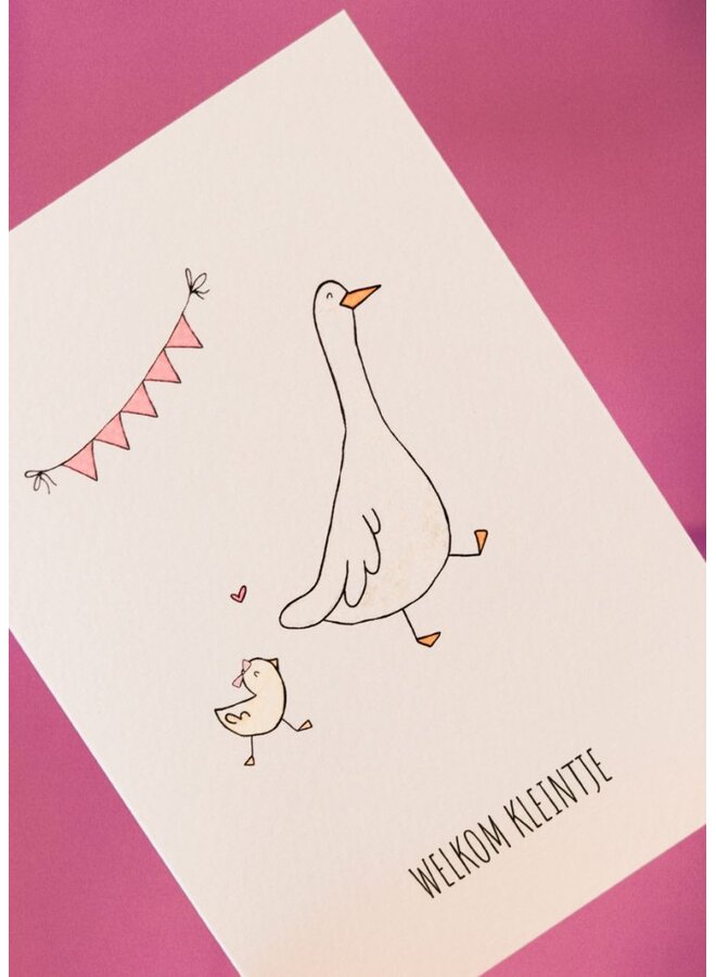 Juulz Illustrations | Welkom Kleintje Gans