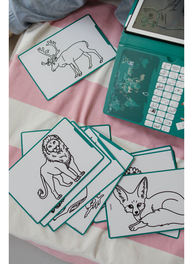 Kidywolf - Kidydraw mini Dieren over de hele wereld